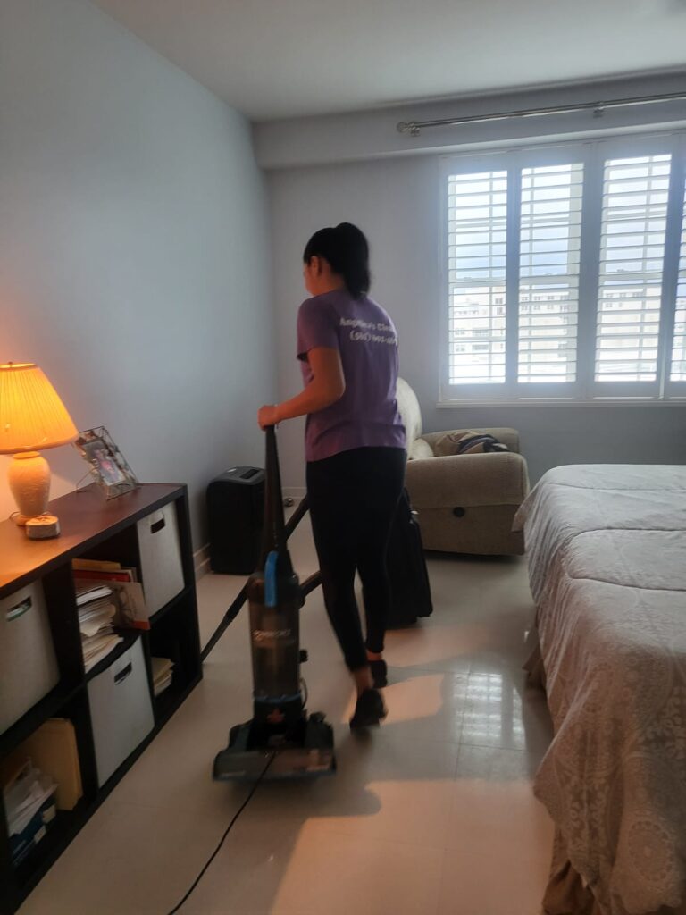 image-of-angeliques-cleaning-staff-cleaning